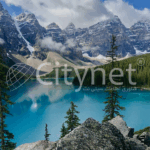 Tourcard عمده فعالیت سیتی نت در سالهای اخیر ارائه خدمات طراحی وب سایت، بهینه سازی